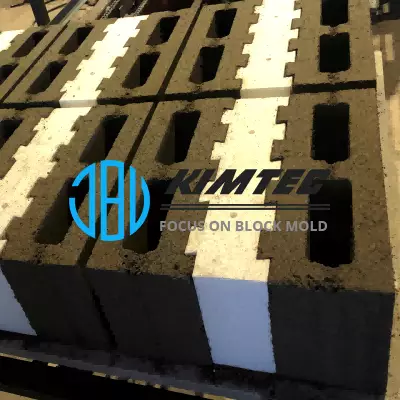 Thermally Insulated Hollow Blocks Mold Mould Moule for Building